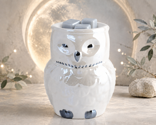 Mystical Owl Oil Buner & Wax Water